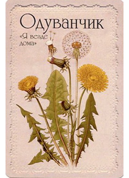 Оракул «Селам или Язык Цветов»